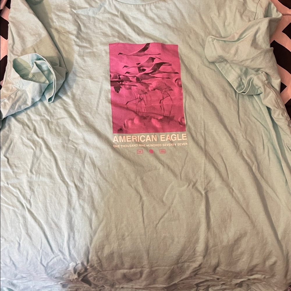 American Eagle Graphic Tee in Light Blue and Pink